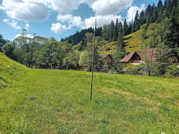 Teren de 5800 mp, în Dămuc