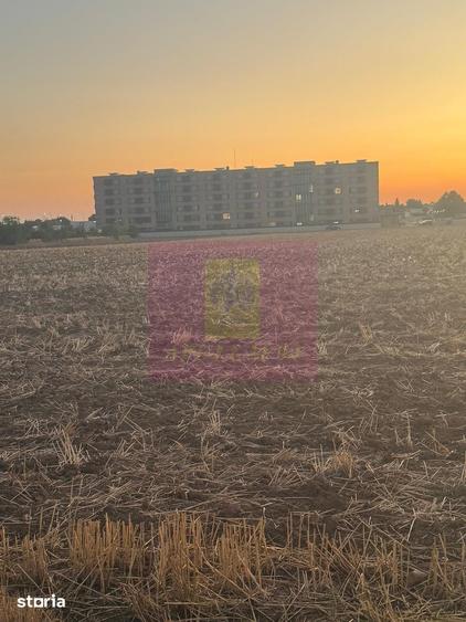 Teren de 3333 mp, în Brănești