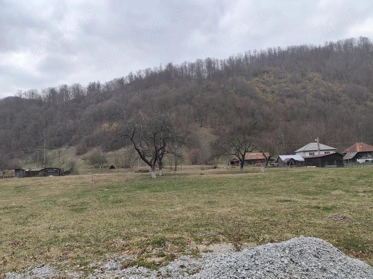 Teren de 1795 mp, în Remeți