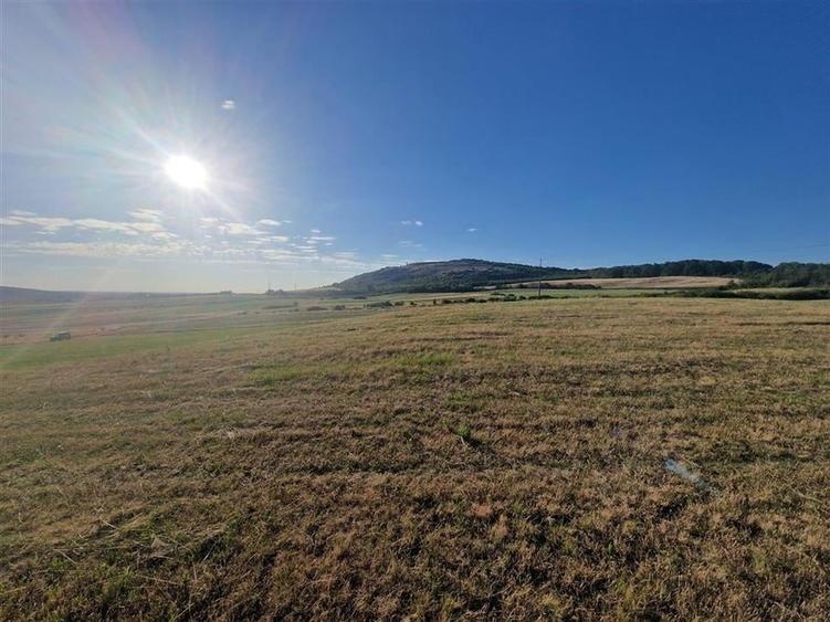 Teren Construcții intravilan de 13234 mp, în Betfia