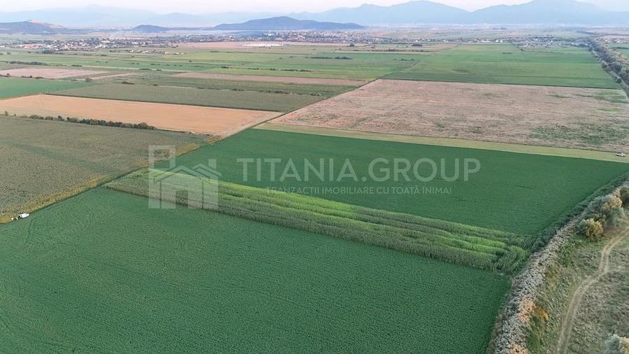 Teren extravilan, 8700 mp, pretabil agricultura sau investi?ie - Bod - 3