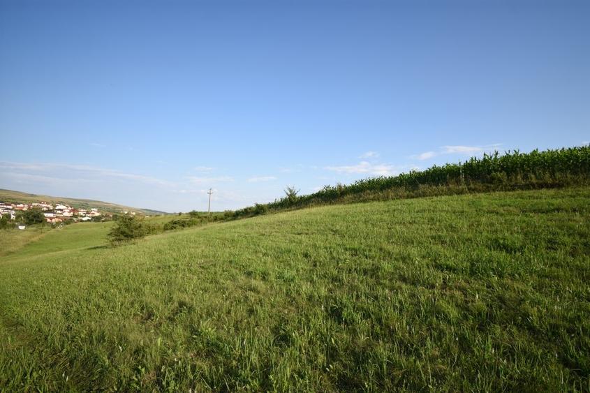 Teren Construcții intravilan de 3800 mp, în Chinteni