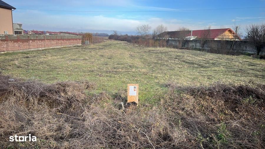 Teren intravilan de vanzare in Bucovat - 3