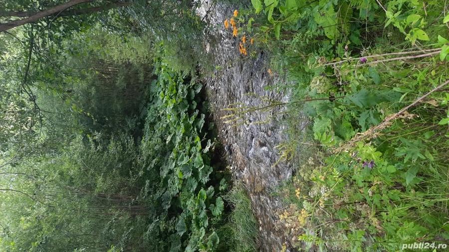 Teren de 1400 mp, în Vest