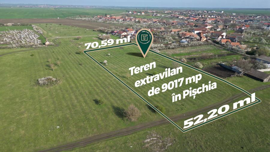 Teren agricol extravilan de 9017 mp, în Pișchia