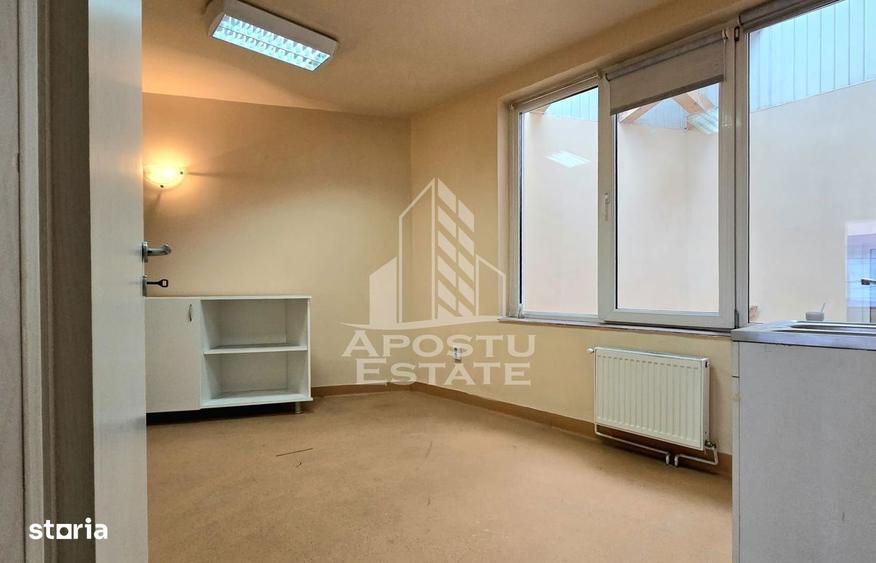 Spațiu comercial, de 250 mp, în Iosefin