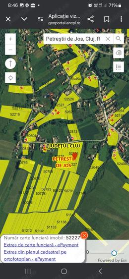 Vand teren intravilan Petrestii de Jos - 8