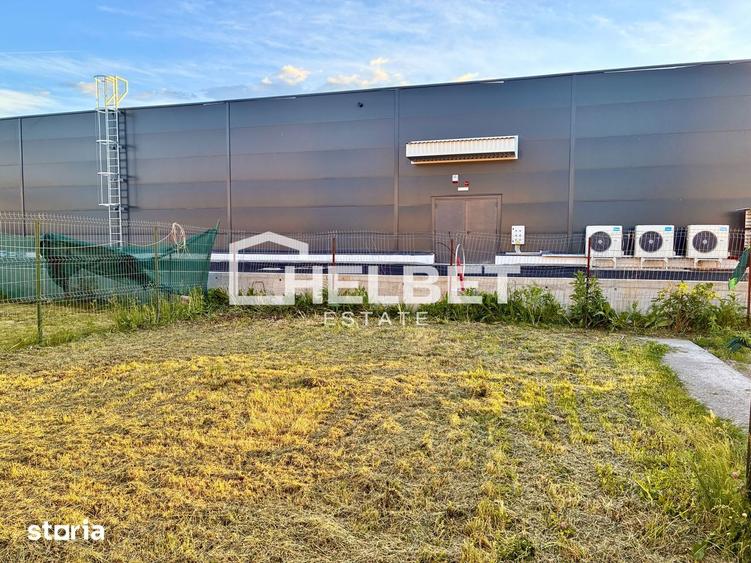 3 CAMERE / PET-FRIENDLY / SANPETRU / CURTE - 3