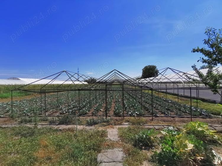 Casă cu 5 camere cu Teren 4365 Mp în Vidra