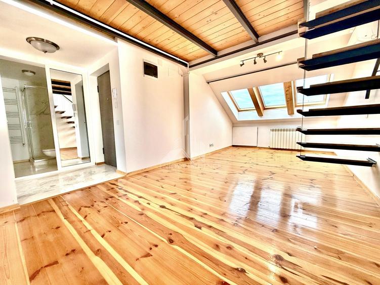 Apartament cu 2 camere semidecomandat în Gorjului