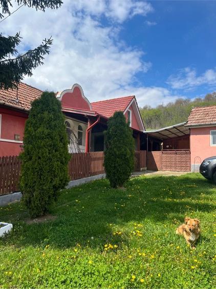 Casă cu Teren 20000 Mp în Central