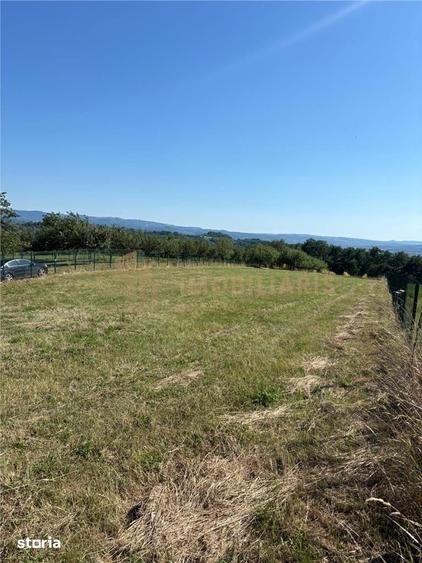 Teren de 1600 mp, în Groși