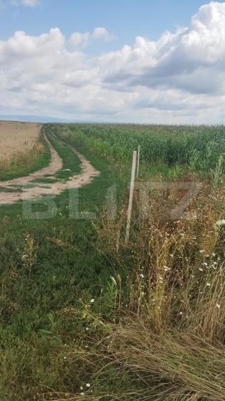 Teren agricol extravilan de 10000 mp, în Cristian