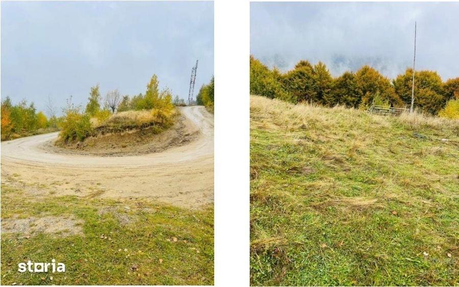 Teren de 8640 mp, în Moieciu