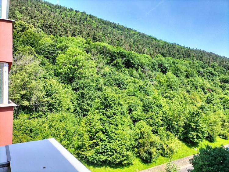 Apartament cu 3 camere decomandat în Drumul Carului