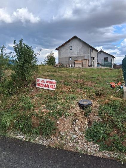 Spațiu comercial, în Păulești