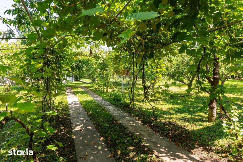 Casă cu Teren 3425 Mp în Gura Vitioarei