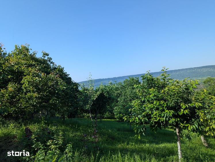 Casă cu 6 camere cu Teren 12900 Mp în Cotnari