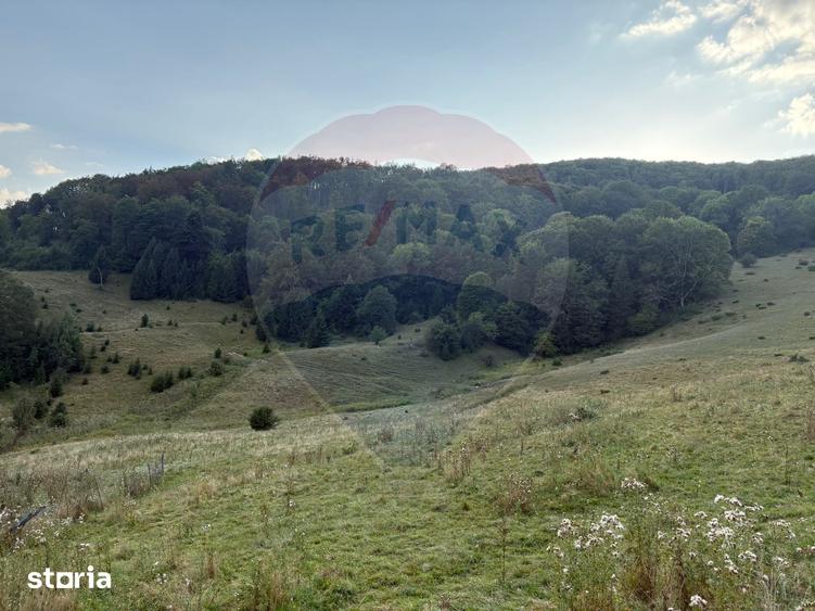 Teren de 2050 mp, în Recea