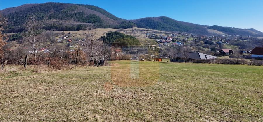 Teren Construcții intravilan de 4000 mp, în Alexandru cel Bun