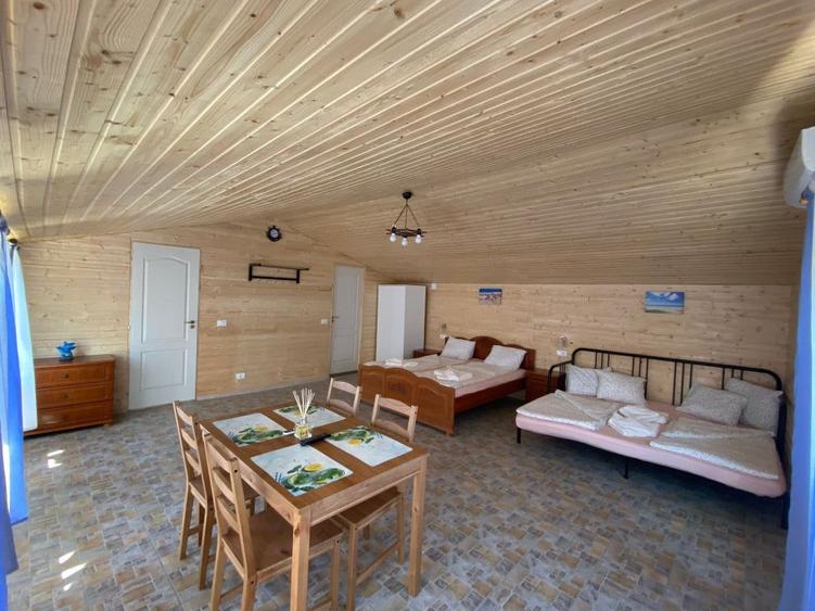 Casă cu 7 camere cu Teren 1790 Mp în Vadu