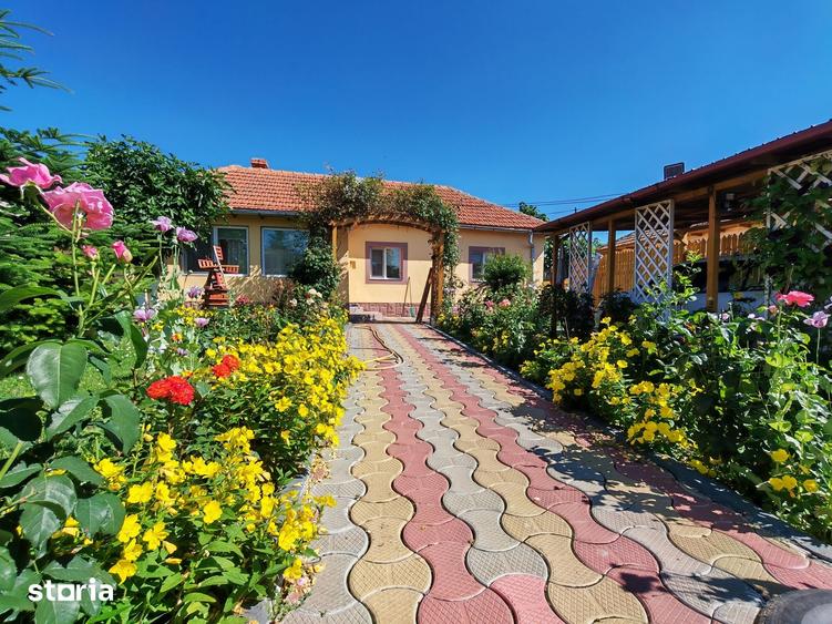 Casă cu 3 camere decomandat cu Teren 1540 Mp în Central