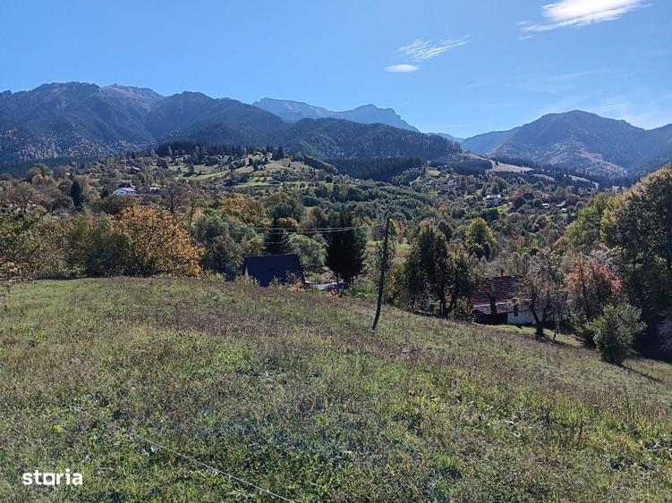 Spațiu comercial, în Bran