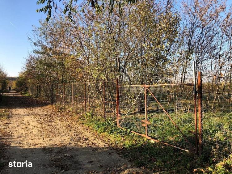 Teren de 12650 mp, în I. L. Caragiale