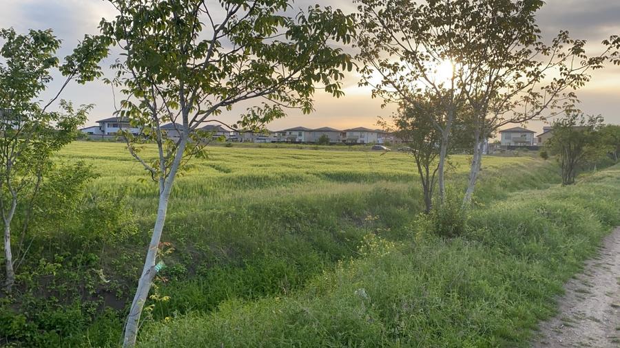 Teren vanzare Otopeni, str Panait Istrati. 1200 mp propus intravilan. zona buna - 1