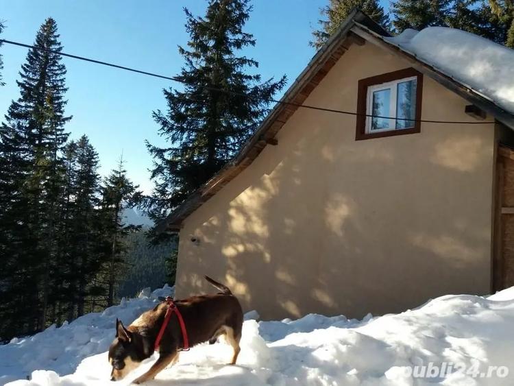Casă cu 2 camere cu Teren 500 Mp în Central