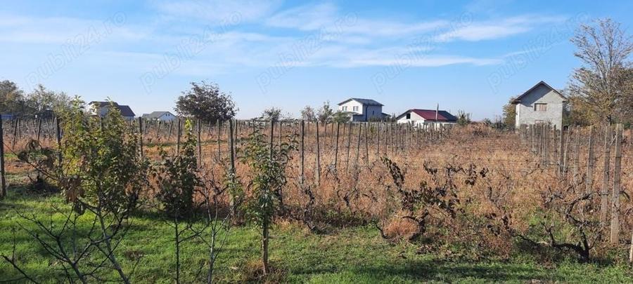 Teren de 1500 mp, în Vânători