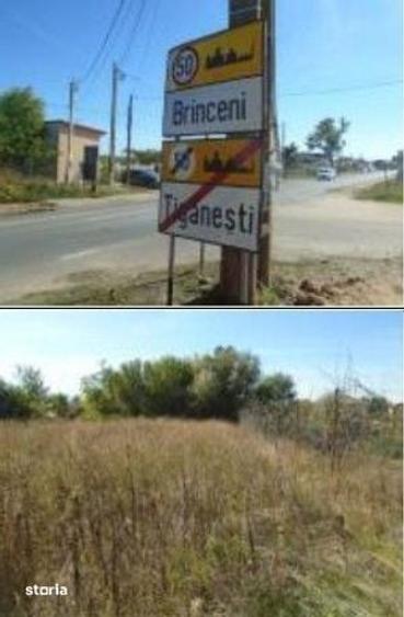 Teren de 613 mp, în Brânceni