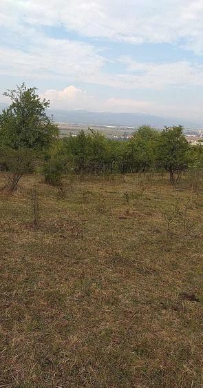 Teren de 4600 mp, în Central