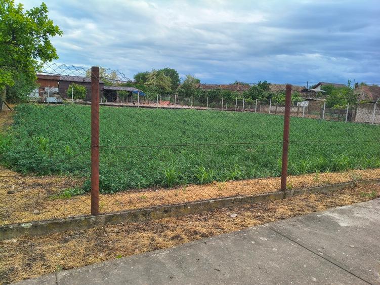 Teren Construcții intravilan de 900 mp, în Biled