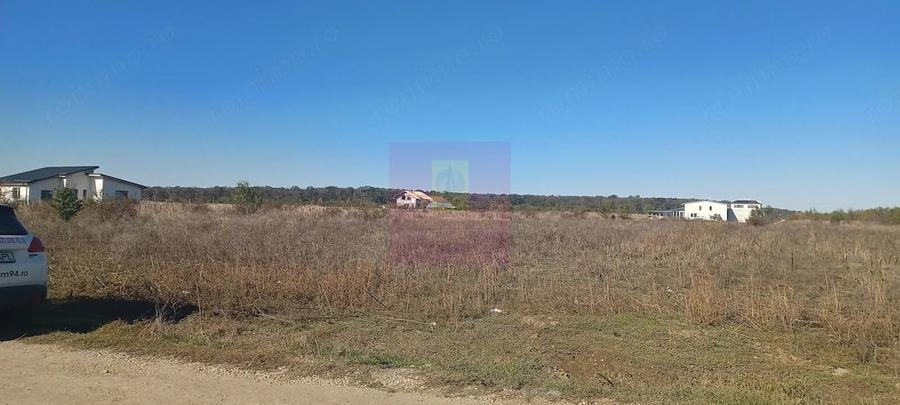 Teren de 6293 mp, în Săbăreni
