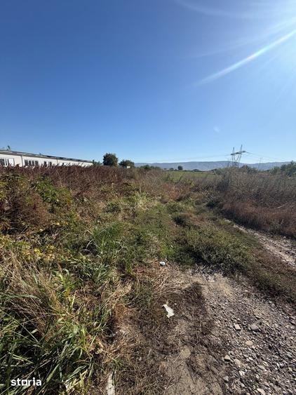 Teren de 7400 mp, în Letea Veche