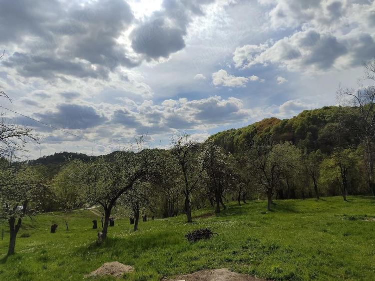 Teren de 1812 mp, în Vulcana de Sus