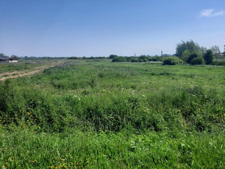 Teren Construcții intravilan de 12216 mp, în Vetiș