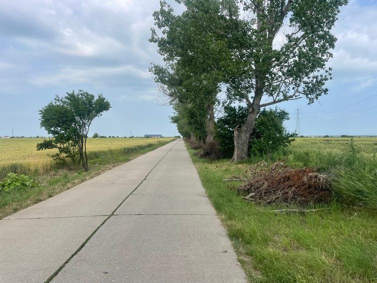Teren Construcții intravilan de 7200 mp, în Săftica
