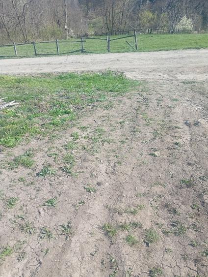 Teren Construcții intravilan de 1000 mp, în Meteș