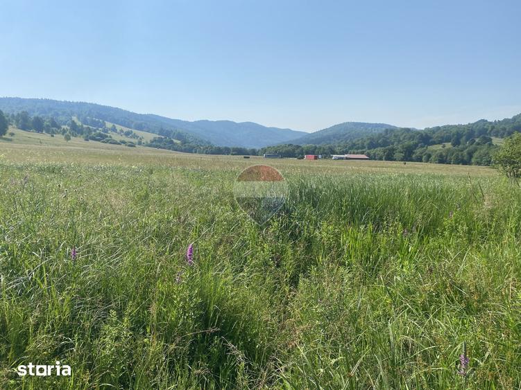 Teren de 4306 mp, în Vama Buzăului
