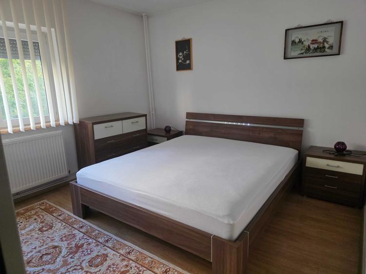 Apartament cu 3 camere decomandat, mobilat în Drumul Sării