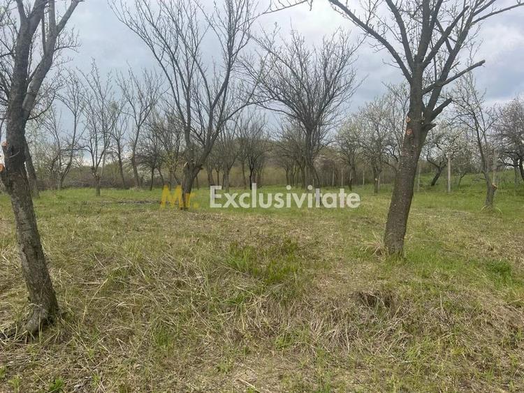 Teren de 2200 mp, în Călinești