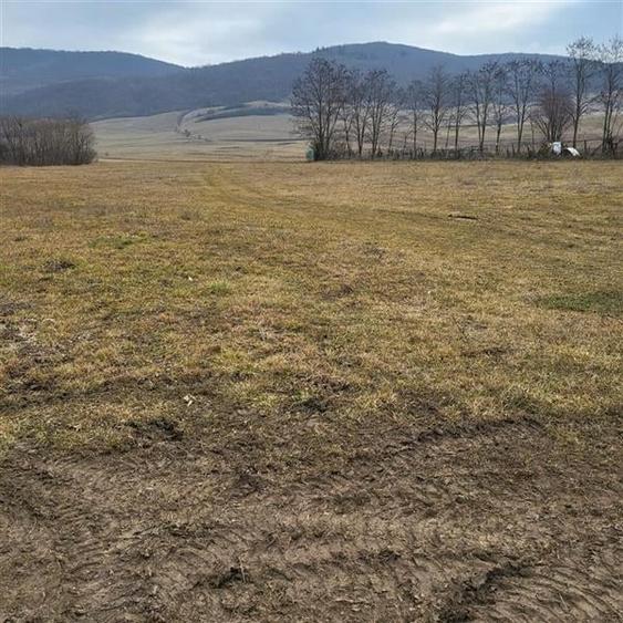 Teren Construcții intravilan de 2200 mp, în Mera