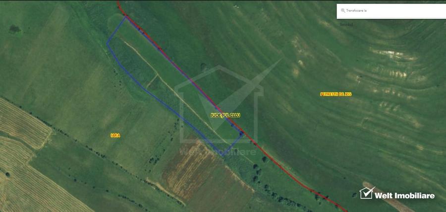 Teren agricol extravilan de 21500 mp, în Valea Agrișului