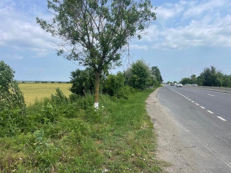 Teren Construcții intravilan de 7200 mp, în Săftica