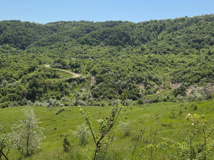 Casa de vanzare, jud prahova la 12km de valenii de munte - 1