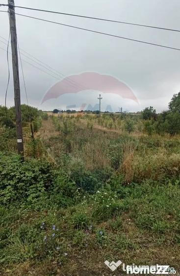 Teren de 2341 mp, în Uileacu de Munte