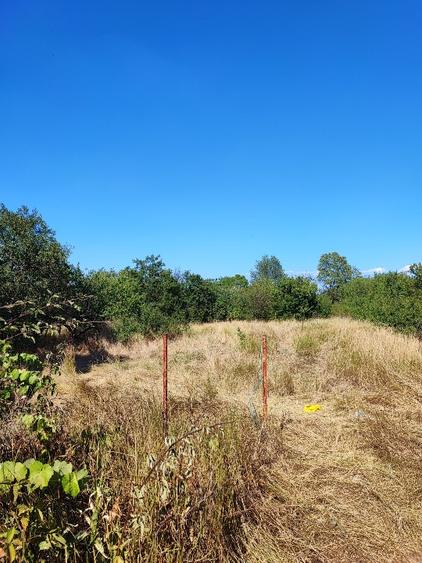 Casă individuală cu 2 camere cu Teren 1400 Mp în Husasău de Tinca