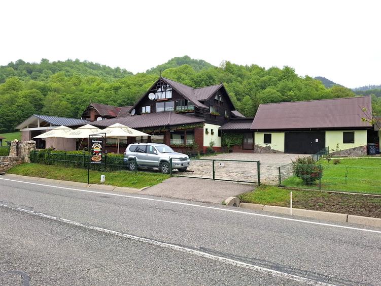 Spațiu comercial, de 700 mp, în Lepșa
